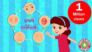 Five Senses Song  Educational Rhymes  Kids Songs  Bindis Music amp Rhymes [upl. by Trask]