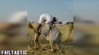 Arabic Funny Video Collection  Failtastic 2017 [upl. by Chance]