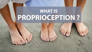 What is Proprioception [upl. by Atiuqan]