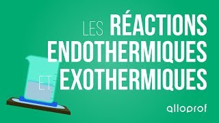 Les réactions endothermiques et exothermiques  Sciences  Alloprof [upl. by Holmann]