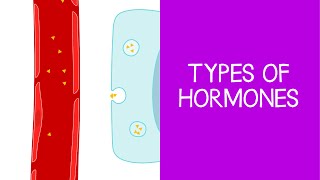 52 Types of Hormones [upl. by Kovacs]