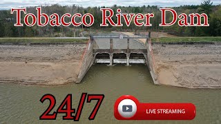 Tobacco River Dam  Michigan  247 HD Live Stream [upl. by Basilio714]