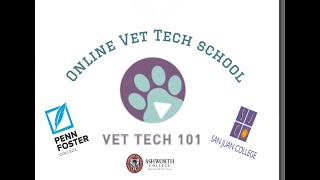 All about Online Vet Tech School [upl. by Gwenette]