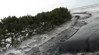 Japan Tsunami 2011  One Brave Soul [upl. by Llemar]