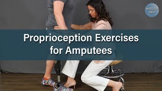 Balance Exercises for Amputees Proprioception [upl. by Nalahs]