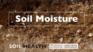 Soil Basics Soil Moisture [upl. by Maribeth]