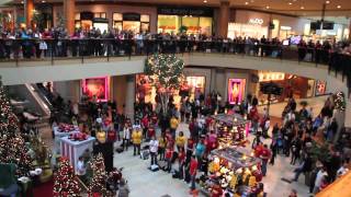 Flash Mob the best of Christmas 2011  Flash Mob Best Of [upl. by Einhorn114]