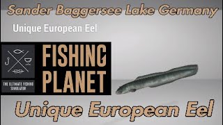 Unique European Eel  Sander Baggersee Lake Germany  Fishing Planet Guide [upl. by Omlesna]