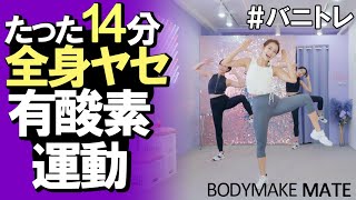 【バニトレ】全身痩せ有酸素運動14分 cardio exercise 14min [upl. by Sirah]