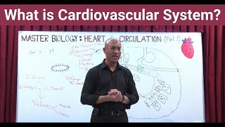 What is Cardiovascular System  Circulatory System  Biology  NEET  GCSE [upl. by Zacherie]