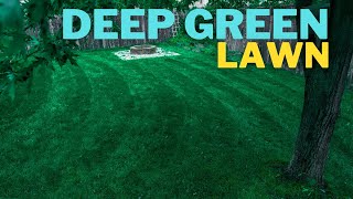 🟢 Make your ugly lawn DARK GREEN in 3 days [upl. by Sterrett625]