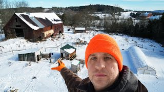 FARM TOUR Cattle Geese Ducks Vermont Winter [upl. by Kirre]