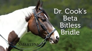 Dr Cooks Beta Bitless Bridle Review [upl. by Neoma91]