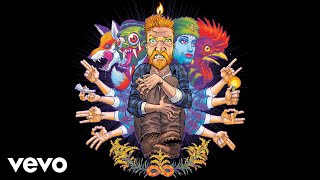 Tyler Childers  Peace of Mind Audio [upl. by Lletram658]