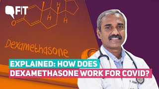 Explained What is Dexamethasone How Could It Work in COVID Patients  The Quint [upl. by Sasnett104]