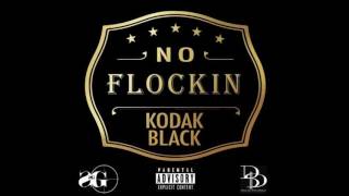 Kodak Black  No Flocking clean [upl. by Luelle]