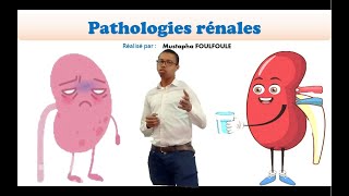 Les pathologies rénales [upl. by Glenden]