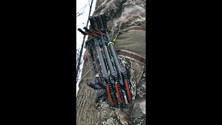 Tree Styx Climbing Stick Overview [upl. by Weingarten32]