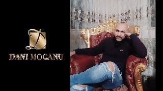 Dani Mocanu  Baiatul Meu  Official Audio [upl. by Reginnej]