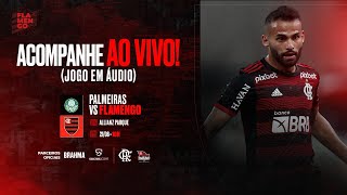 Palmeiras x Flamengo  AO VIVO  Campeonato Brasileiro [upl. by Imoin833]