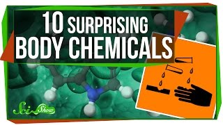 10 Surprising Chemicals Your Body Makes [upl. by Anrehs701]