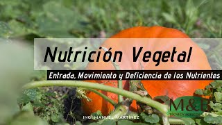 Nutrición Vegetal Entrada Movimiento y Deficiencia de los Nutrientes [upl. by Morganne]