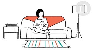 Cat domestication From farms to sofas [upl. by Ydnyl]