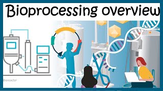 Bioprocessing overview Upstream and downstream process [upl. by Fricke]