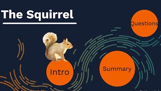 Class 7 The Squirrel Poem Analysis by Mildred Bowers Armstrong [upl. by Menis]