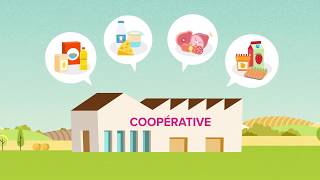 Whats an agricultural cooperative [upl. by Mcfadden]