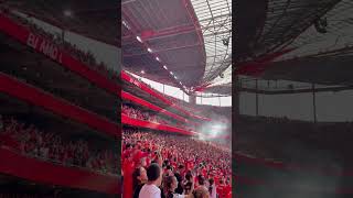 Eu Amo o Benfica [upl. by Eak323]