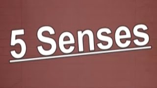 5 Senses Song  The 5 Senses  5 Sense for Kids  Jack Hartmann [upl. by Rehotsirhc]