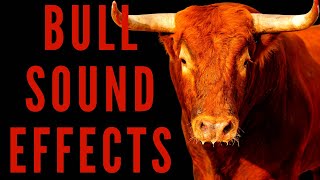 BULL SOUND EFFECTS  How Do Bull Sounds [upl. by Aland]