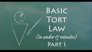 Understand Tort Law in 17 Minutes Part I [upl. by Barbur93]