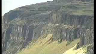 Trees of Stone  Ginkgo Petrified Forest State Park  Part 2 of 3 [upl. by Fondea]