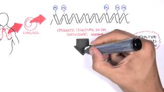 DNA methylation biomarkers  Garvan Institute [upl. by Florina]