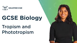 Tropism and Phototropism  91 GCSE Science Biology  OCR AQA Edexcel [upl. by Ahsilla]