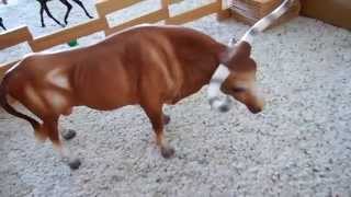 Breyer Barn Tour [upl. by Mcgurn]