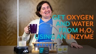 Get Oxygen and Water from Hydrogen Peroxide using an Enzyme [upl. by Oirasec]