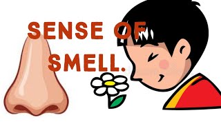 Learn about my five senses Sense of Smell [upl. by Longmire]