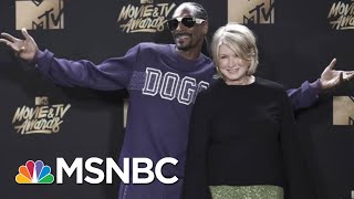 Snoop Dogg tells MSNBC’s Ari Melber why he finally voted [upl. by Ahseen]