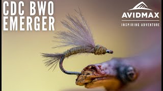 How to tie the CDC BWO Emerger  AvidMax Fly Tying Tuesday Tutorials [upl. by Nomor]