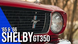 How Carroll Shelby made the 1965 Mustang GT350 What changed in 1966 [upl. by Nosredneh]