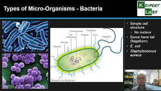 Types of MicroOrganisms [upl. by Iand]