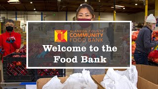 Welcome to the Food Bank [upl. by Elumas308]