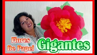 DIY  Como Hacer Flores De Papel Crepe  GIGANTES [upl. by Plerre]