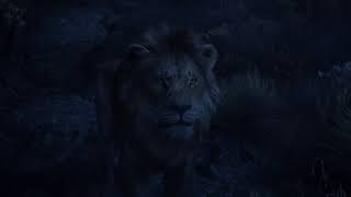 The Lion King 2019 Simba talking to his father [upl. by Nace]