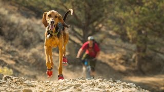 Ruffwear Grip Trex™ Dog Boots [upl. by Kingsley]