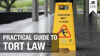 Tort Law  A Practical Guide [upl. by Nauqaj554]