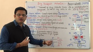 Drug Transport Mechanism In Biological Membrane  Drug Transport Across Cell Membrane  Pharmacology [upl. by Dowlen]